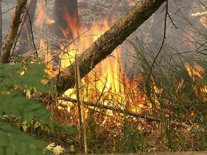 МЧС предупреждает о высокой пожароопасности в Выксе