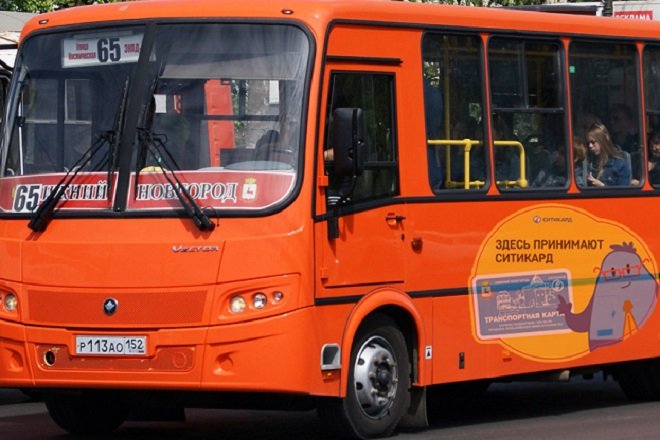 В Нижнем Новгороде перевозчик-нелегал лишился 13 автобусов  - фото 1