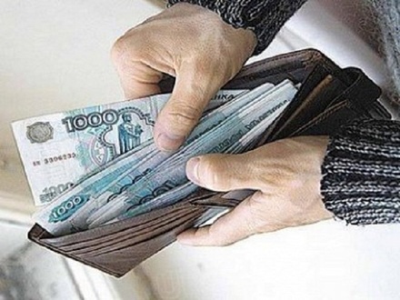Больше половины россиян удовлетворены своей зарплатой