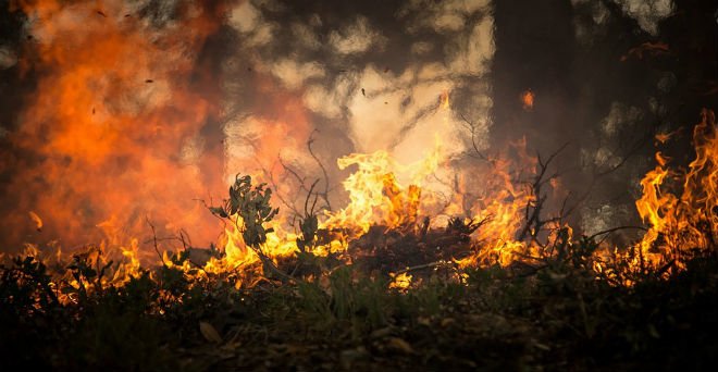 В выходные в Нижегородской области прогнозируется пятый класс пожароопасности лесов - фото 1