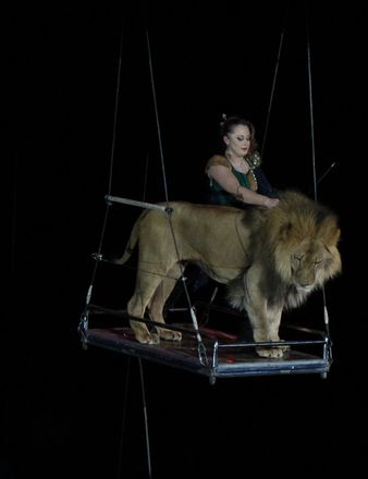 Летающий медведь и &laquo;Колесо смелости&raquo;: нижегородский цирк приглашает в &laquo;Звездный круиз&raquo; (ФОТО) - фото 80