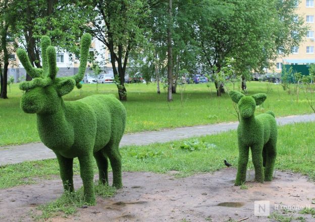 Опубликованы фото достопримечательностей Кстова в Нижегородской области - фото 13