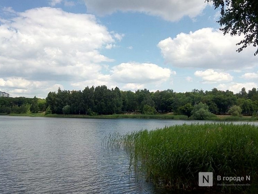 Сильные осадки прогнозируют летом в Нижнем Новгороде - фото 1