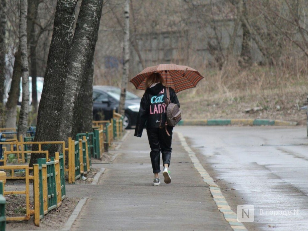 60 минут и 300 метров: нижегородцам разрешили гулять в режиме самоизоляции