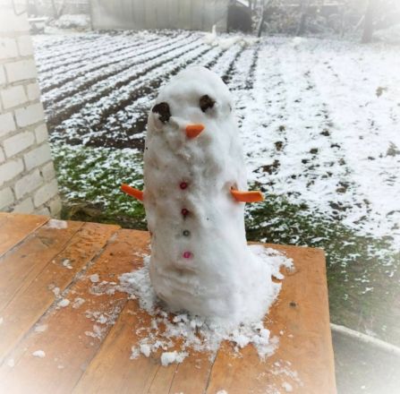 Нижегородцы делятся фотографиями первого снега и лепят снеговиков - фото 9