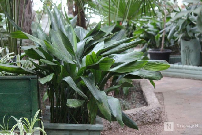 Бобры, костелы и закрытые музеи: плюсы и минусы отдыха в Белоруссии зимой - фото 57