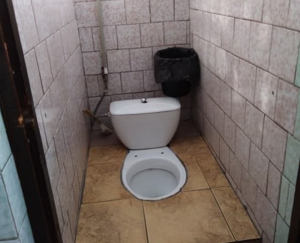 Глава Городецкого района не нашел туалетов из конкурса &laquo;Доместос&raquo; в школах Заволжья - фото 1