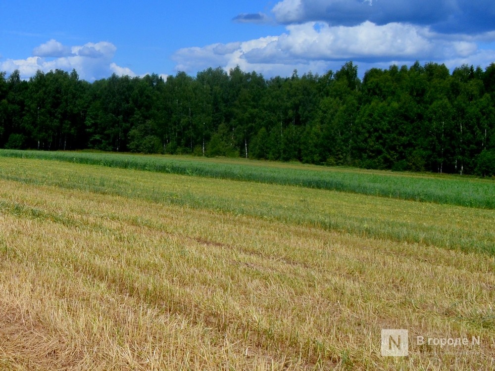 Нижегородская область полностью готова к весенним полевым работам