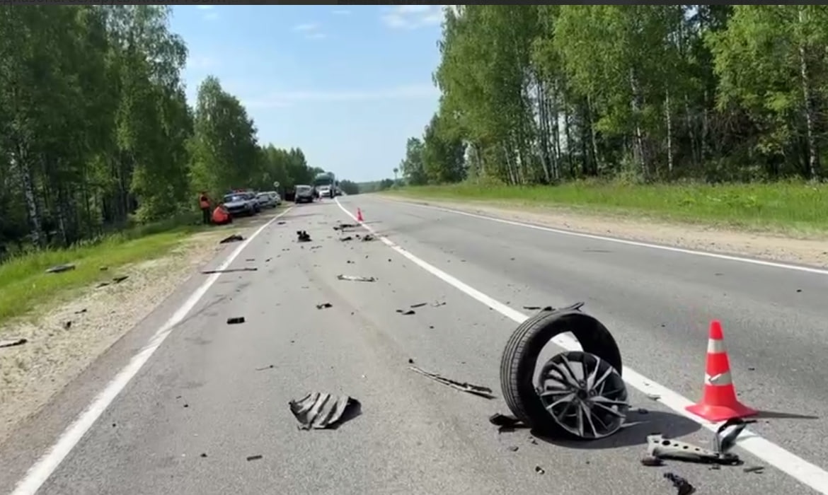 Двое детей и двое взрослых пострадали в ДТП в Нижегородской области - фото 1