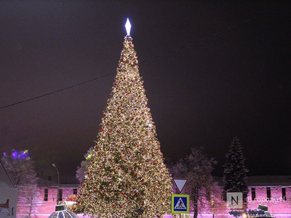 Главную елку Нижнего Новгорода установят до 27 ноября