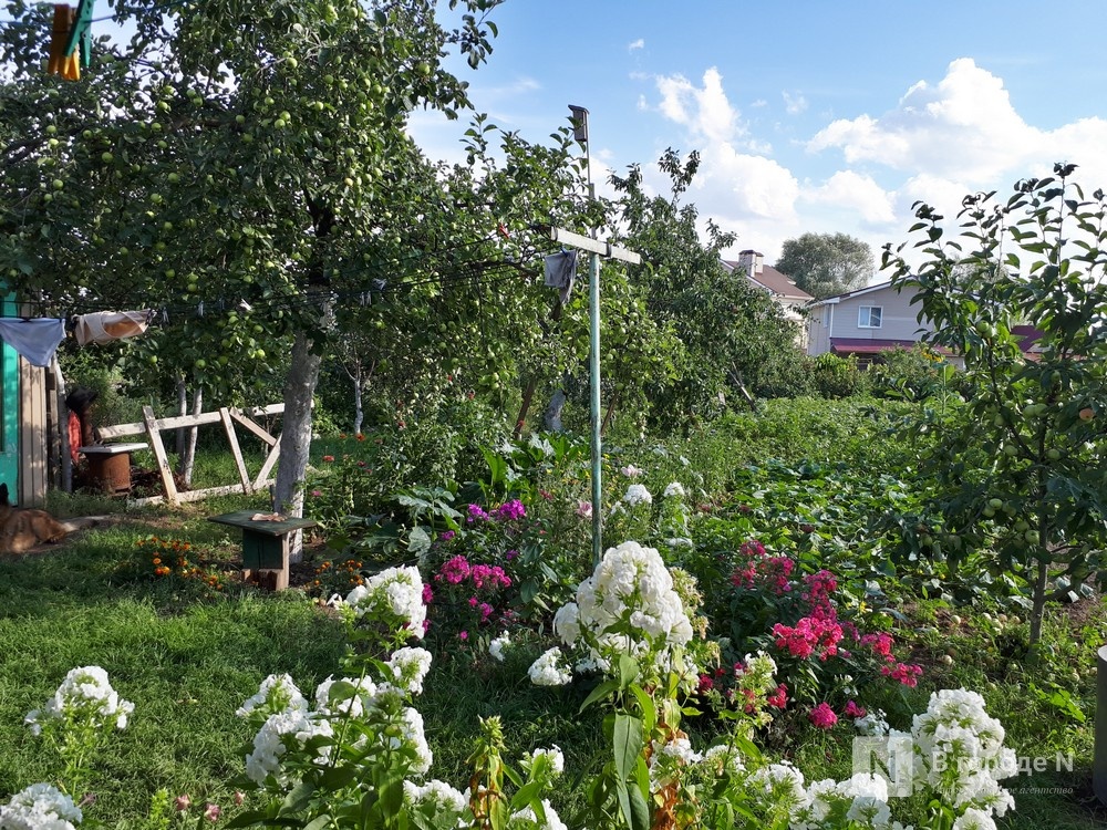 Землю под ИСЖ в пригороде Нижнего Новгорода продадут на аукционе