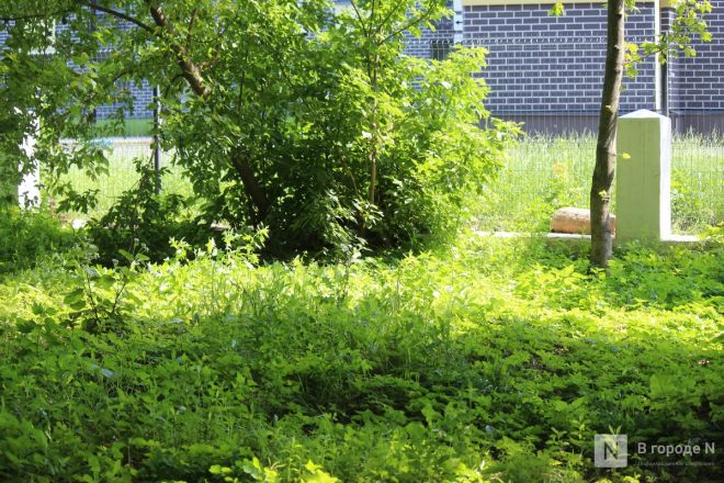 Жизнь на костях: что сейчас находится на месте старых кладбищ в Нижнем Новгороде - фото 24