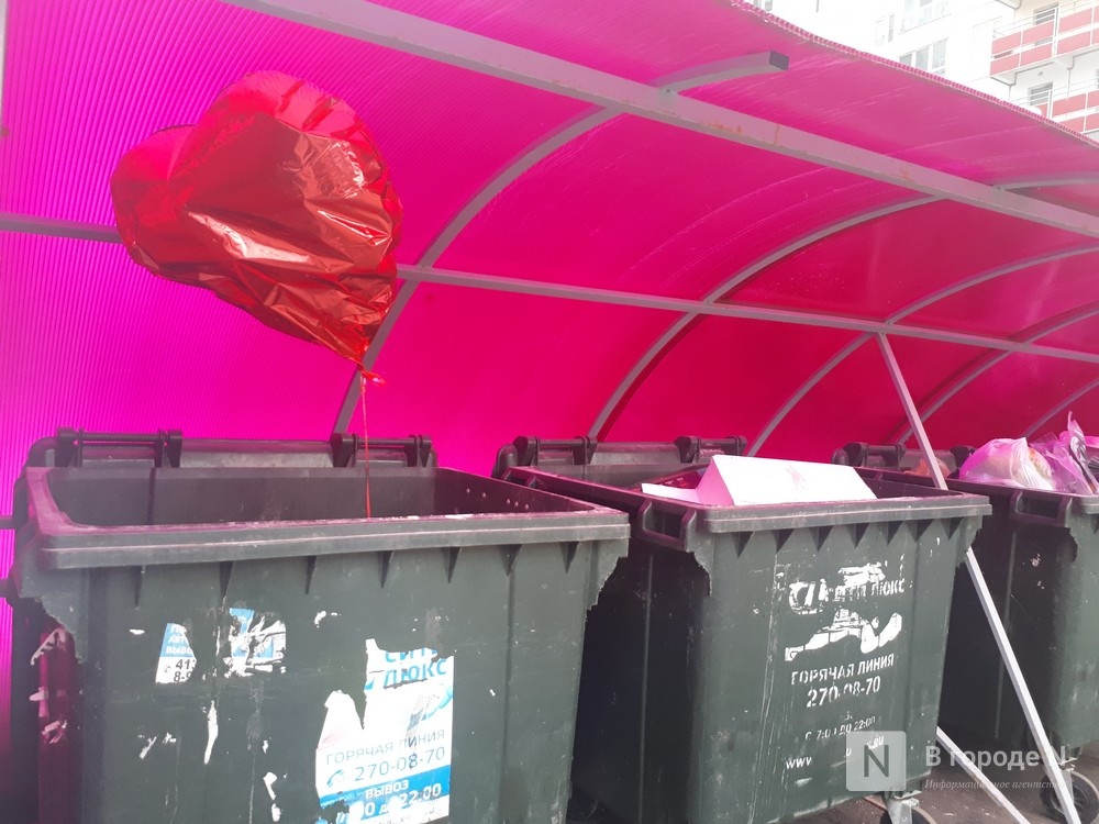 Нижегородские депутаты представили комплекс рекомендаций для работы с отходами - фото 1