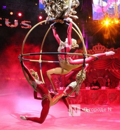&laquo;Песчаную сказку&raquo; Гии Эрадзе покажут в нижегородском цирке - фото 8