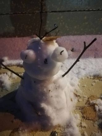 Нижегородцы делятся фотографиями первого снега и лепят снеговиков - фото 5