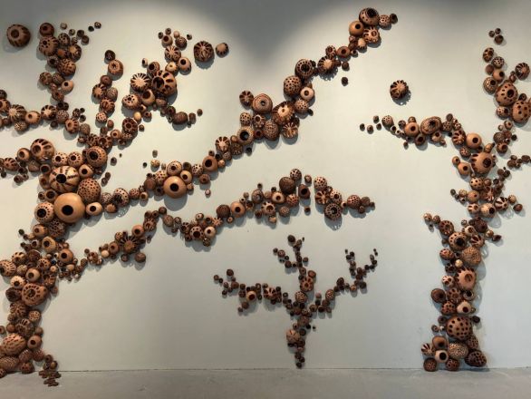 «Кожа Земли»: в Нижнем Новгороде проходит первая международная ЭкоБиеннале - фото 12