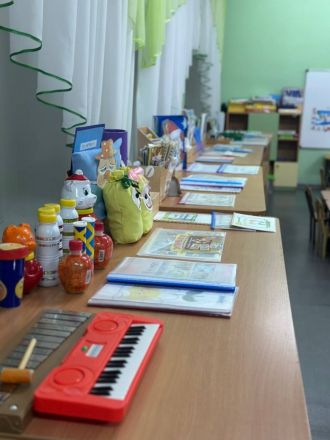 Депутат Гриневич помогла купить газонокосилку школе в Богородске - фото 3