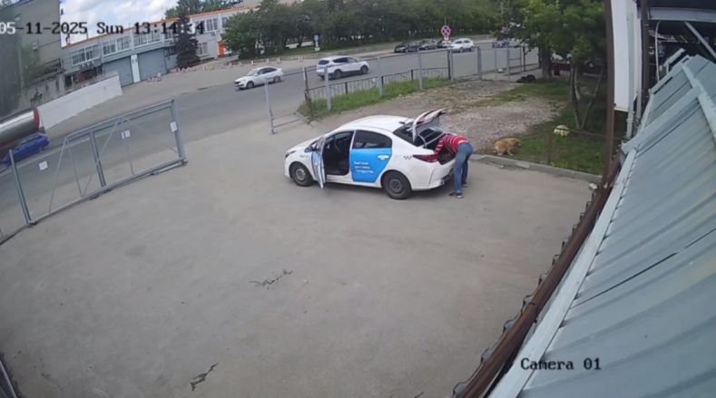 Собаку жестоко швырнули перед воротами приюта в Нижнем Новгороде - фото 2
