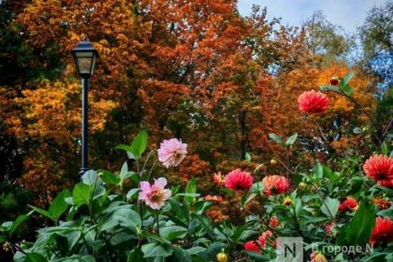 Погода в Нижнем Новгороде: подробный прогноз на неделю с 7 по 13 сентября