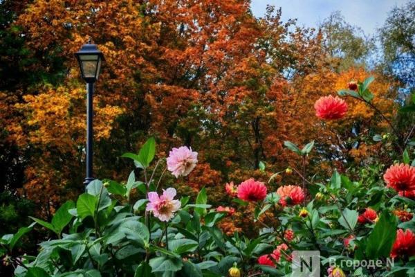 Погода в Нижнем Новгороде: подробный прогноз на неделю с 7 по 13 сентября