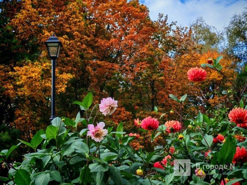 Новый температурный рекорд сентября установили в Нижнем Новгороде - фото 1