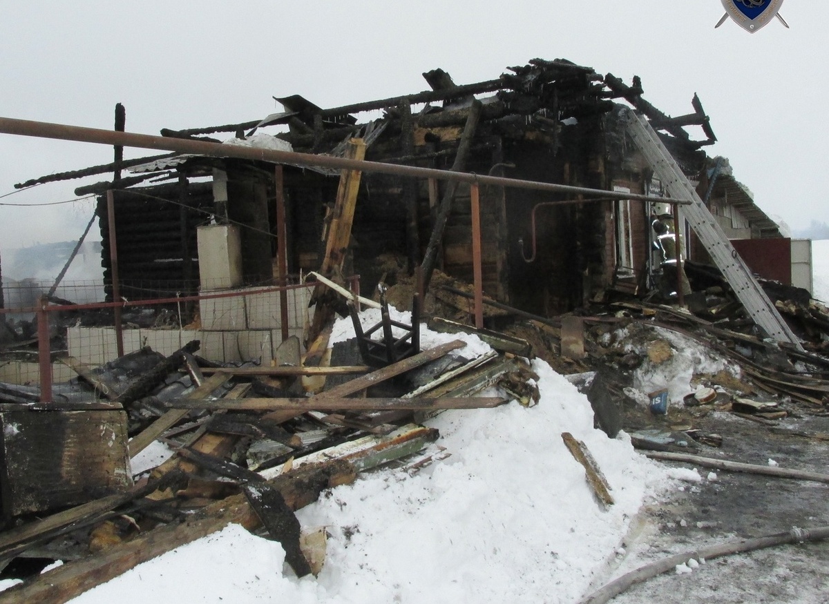 СК ведет проверку по факту гибели пенсионеров на пожаре в Балахнинском районе - фото 1