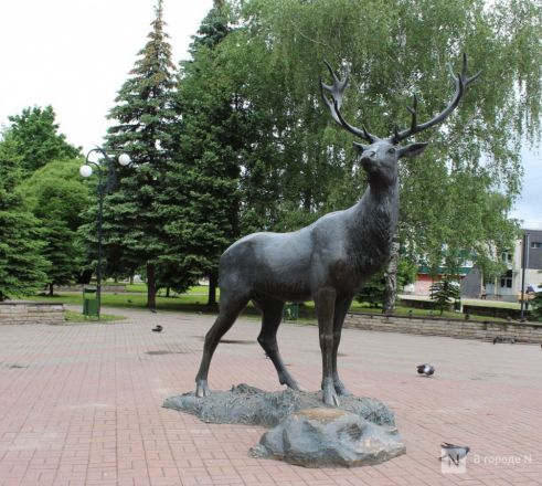 Год под крылом Нижнего Новгорода: как выглядит и чем привлекает Кстово — фоторепортаж - фото 93