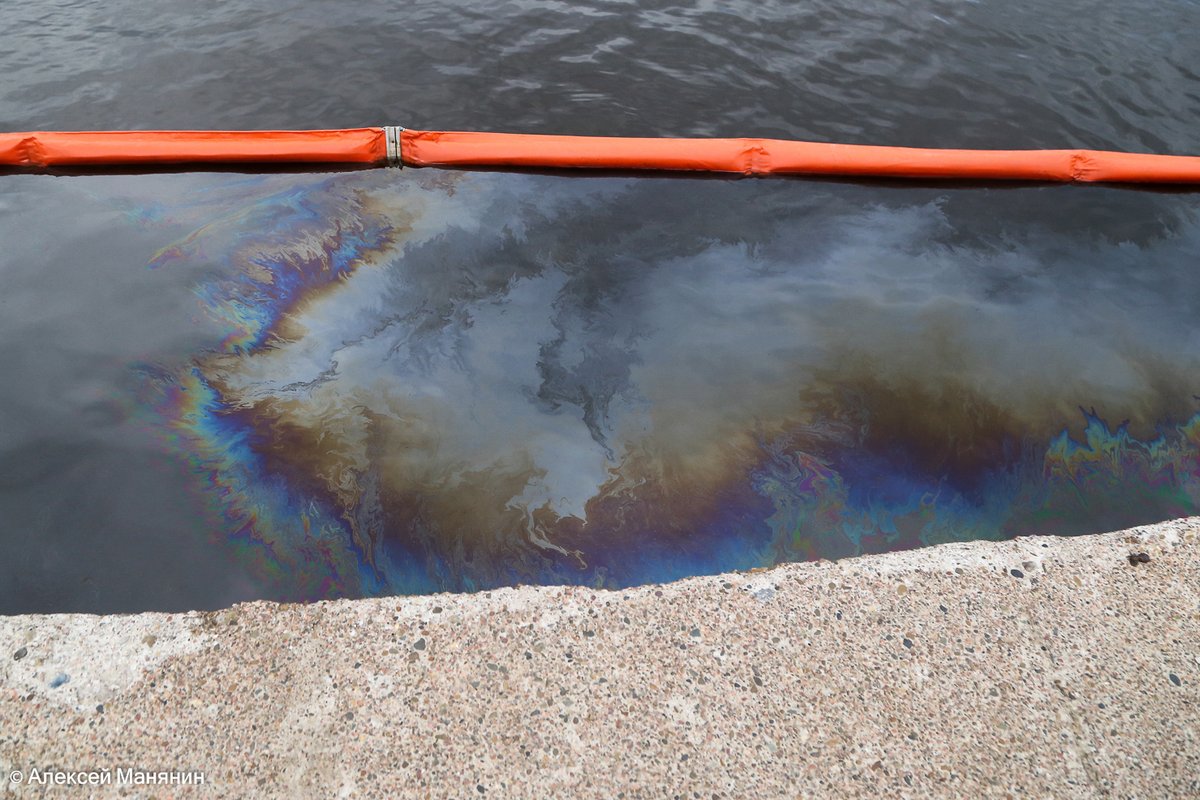 Около 20 литров нефтепродуктов собирают ежедневно с поверхности Волги у Бурнаковской низины - фото 1