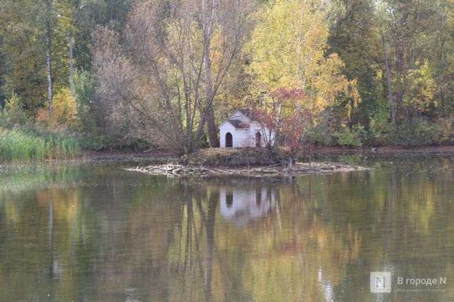 Фоторепортаж: как выглядит Сормовский парк, который ждет масштабная реконструкция - фото 8