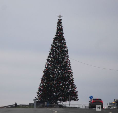 Главную новогоднюю елку установили в Нижнем Новгороде - фото 2