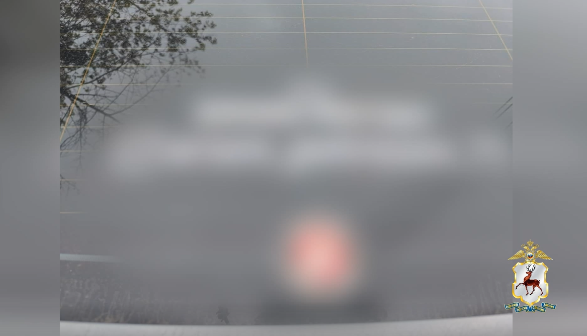 Нижегородца наказали из-за экстремистской наклейки на автомобиле - фото 1