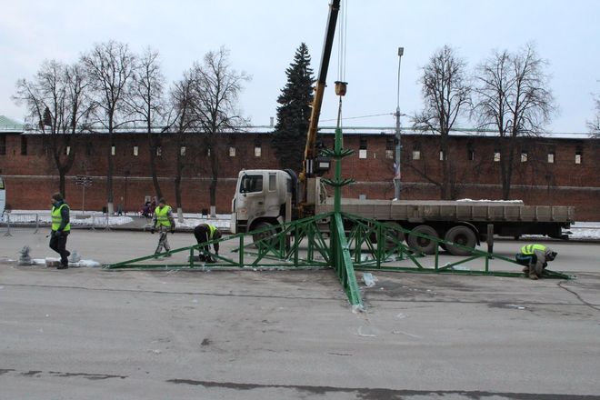 В Нижнем Новгороде началась установка главной городской елки - фото 6