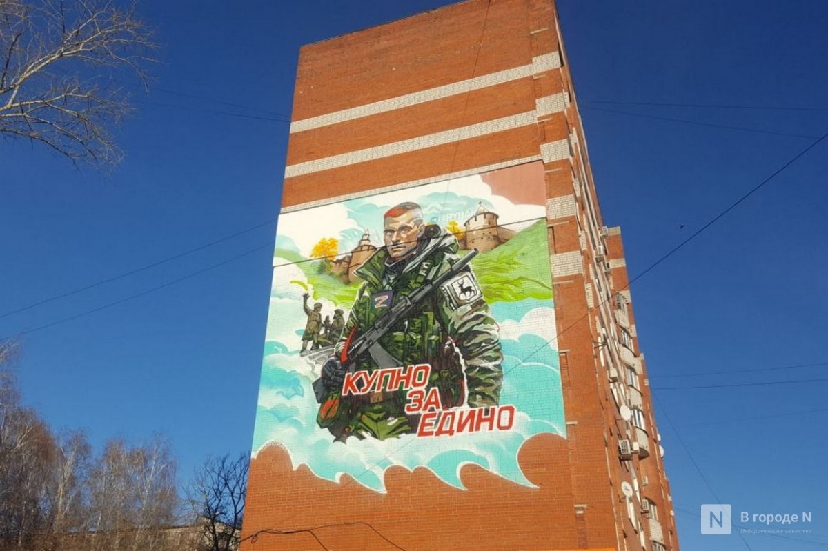 Новый мурал с изображением военного появился на улице Панина - фото 1