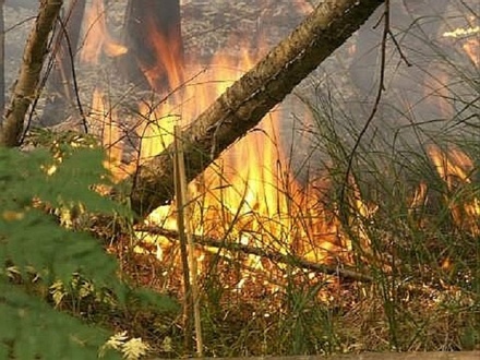 Высокая и чрезвычайная пожароопасность сохранятся в Нижегородской области