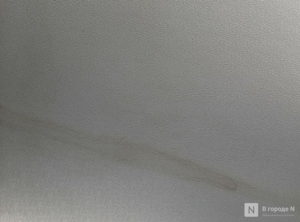 Транспорт новый &mdash; проблемы старые: тестируем современные автобусы, троллейбусы и трамваи в Нижнем Новгороде - фото 9