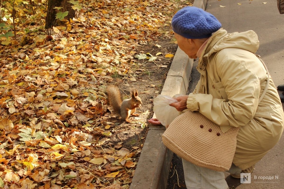 Гидрометцентр прогнозирует тепло в начале осени в Нижегородской области - фото 1