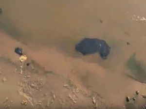 Нижегородские рыбаки бьют тревогу из-за сгустков мазута в Волге