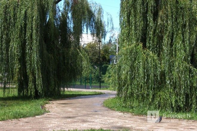 Опубликованы фото микрорайона Сортировочный в Нижнем Новгороде - фото 6