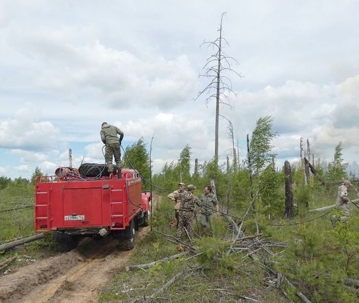 Пожар произошел в Керженском заповеднике из-за удара молнии - фото 2