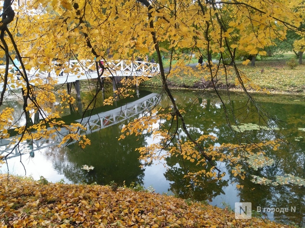Синоптики предсказали затяжное бабье лето в Нижегородской области - фото 1