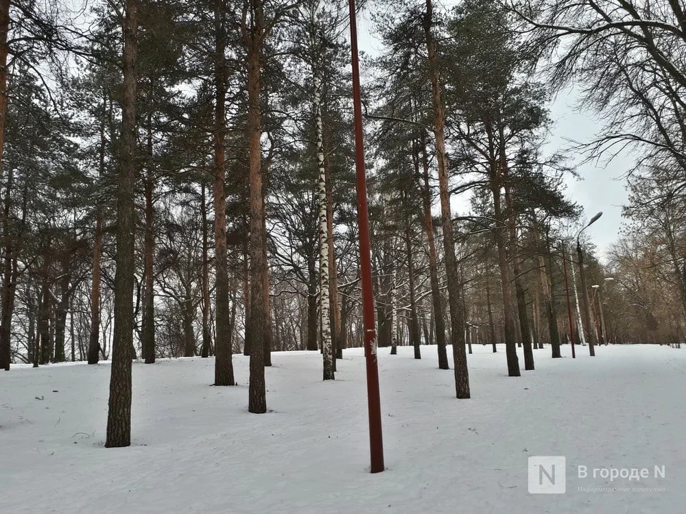 Снегопад и метель ожидаются в Нижегородской области вечером 16 января - фото 1