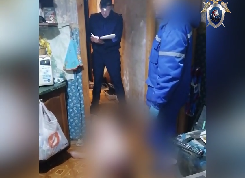 Нижегородец предстал перед судом за избиение матери до смерти  - фото 1