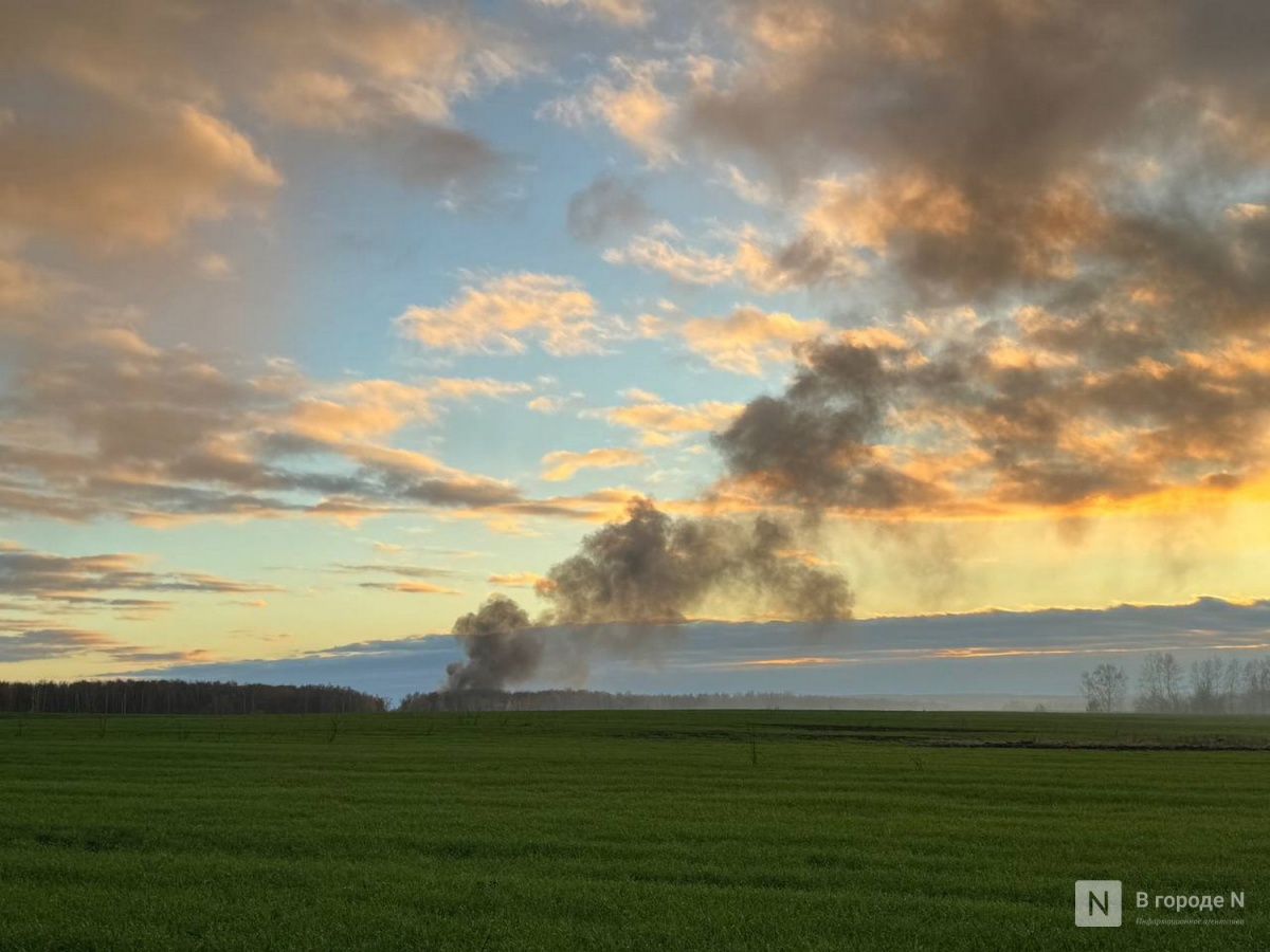 Нижегородские депутаты одобрили обращение к Мишустину о вырубке деревьев в Сарове - фото 1