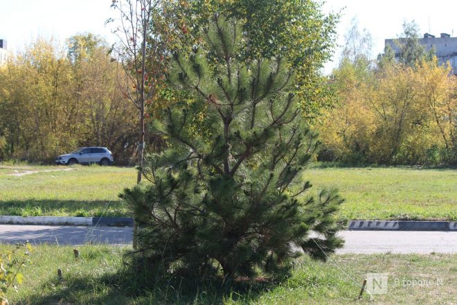 Благоустройство &mdash; 2024. Смотрим, как изменились пространства Автозаводского района - фото 81