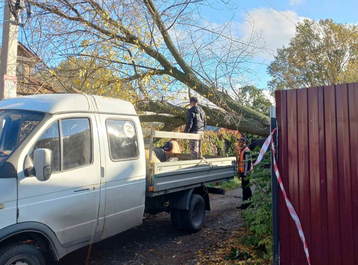 Упавшие из-за сильного ветра деревья убирают в Нижнем Новгороде - фото 1