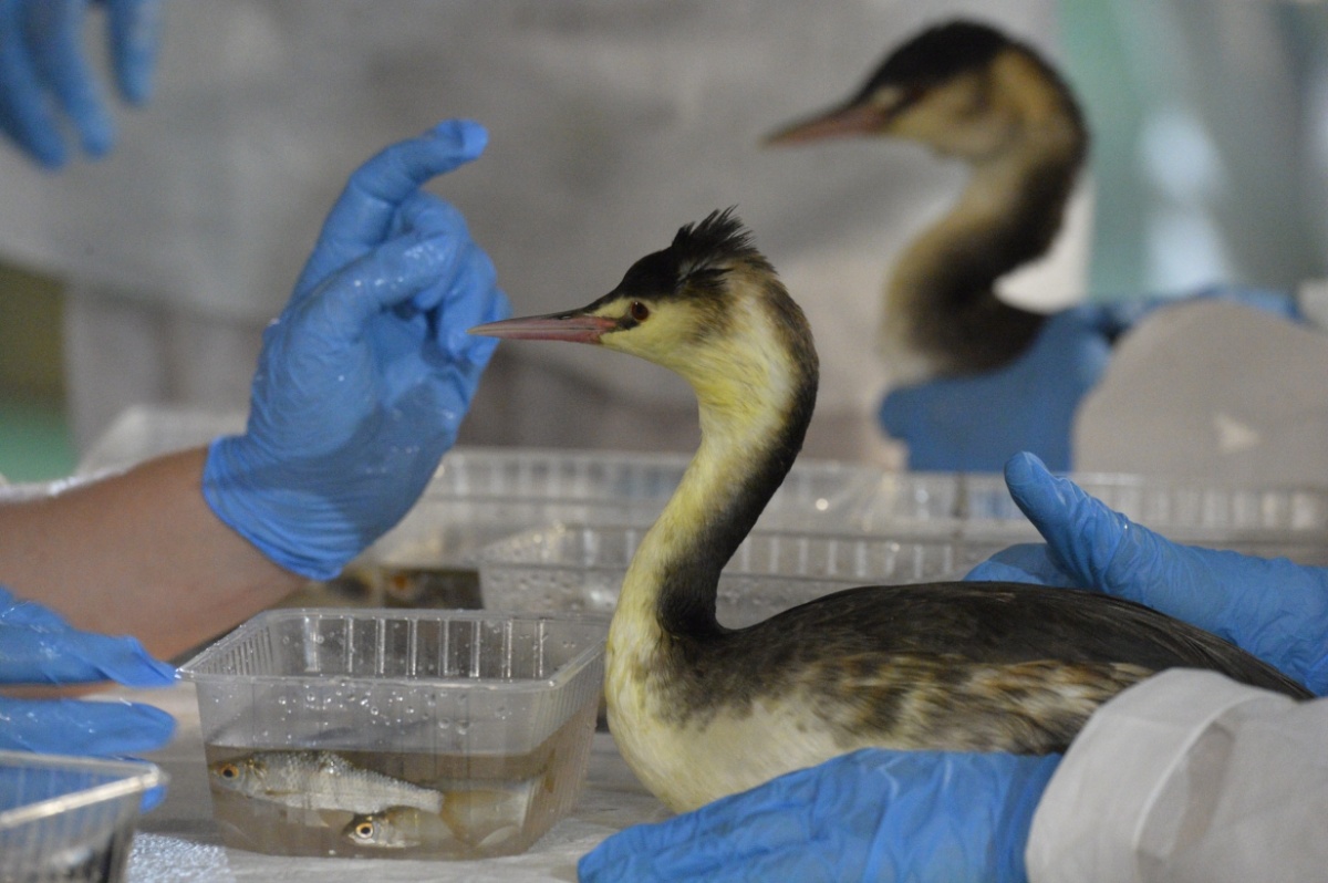 ВТБ и Фонд защитников природы создадут систему поддержки особо охраняемых природных территорий - фото 1