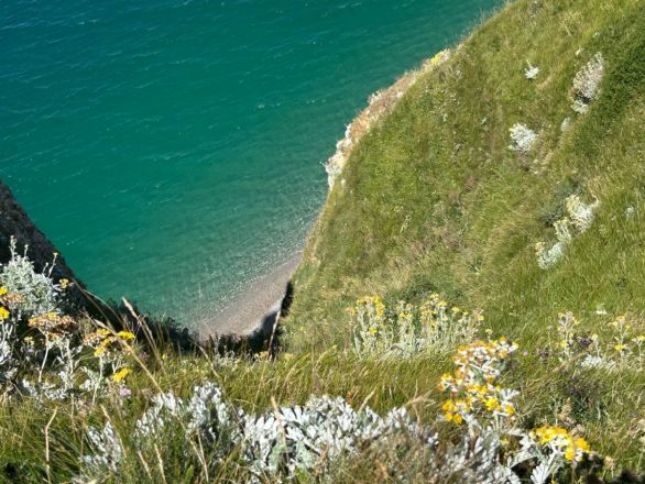 Восторг, бомжи и невкусная еда: нижегородка рассказала об удивительном путешествии в Париж - фото 78