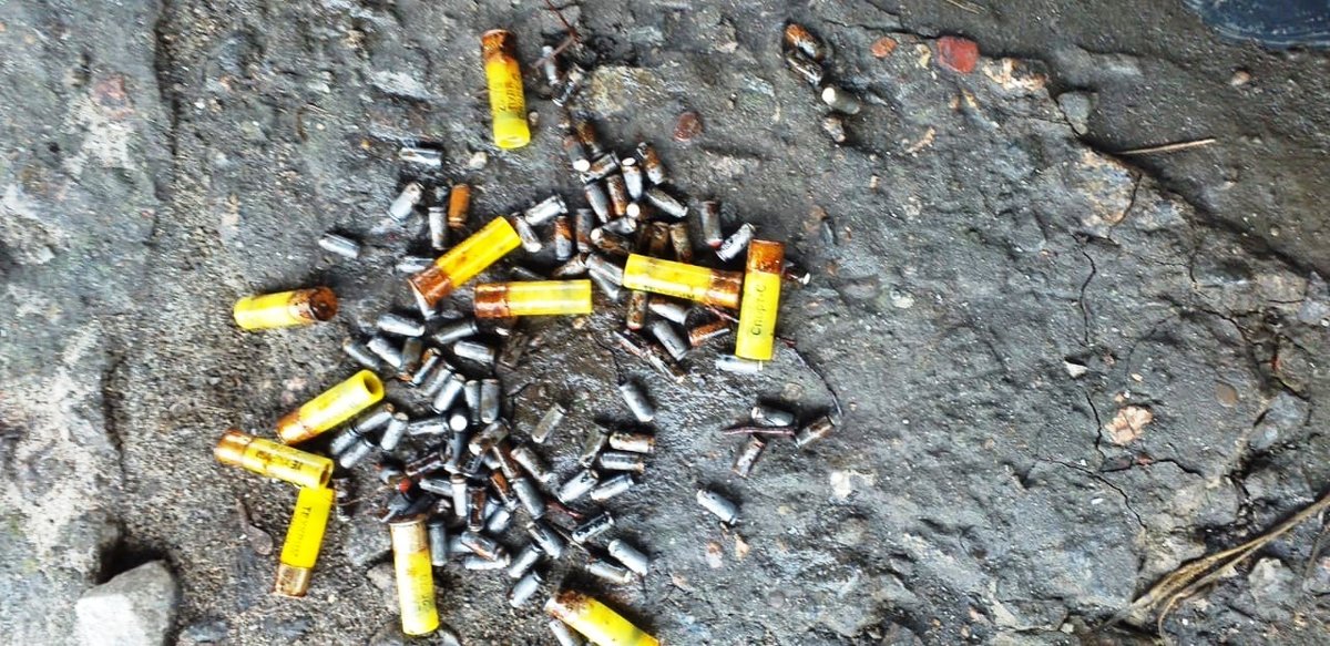 Полтысячи боеприпасов и 240 патронов нашли металлоискатели в реке под Городцом - фото 1