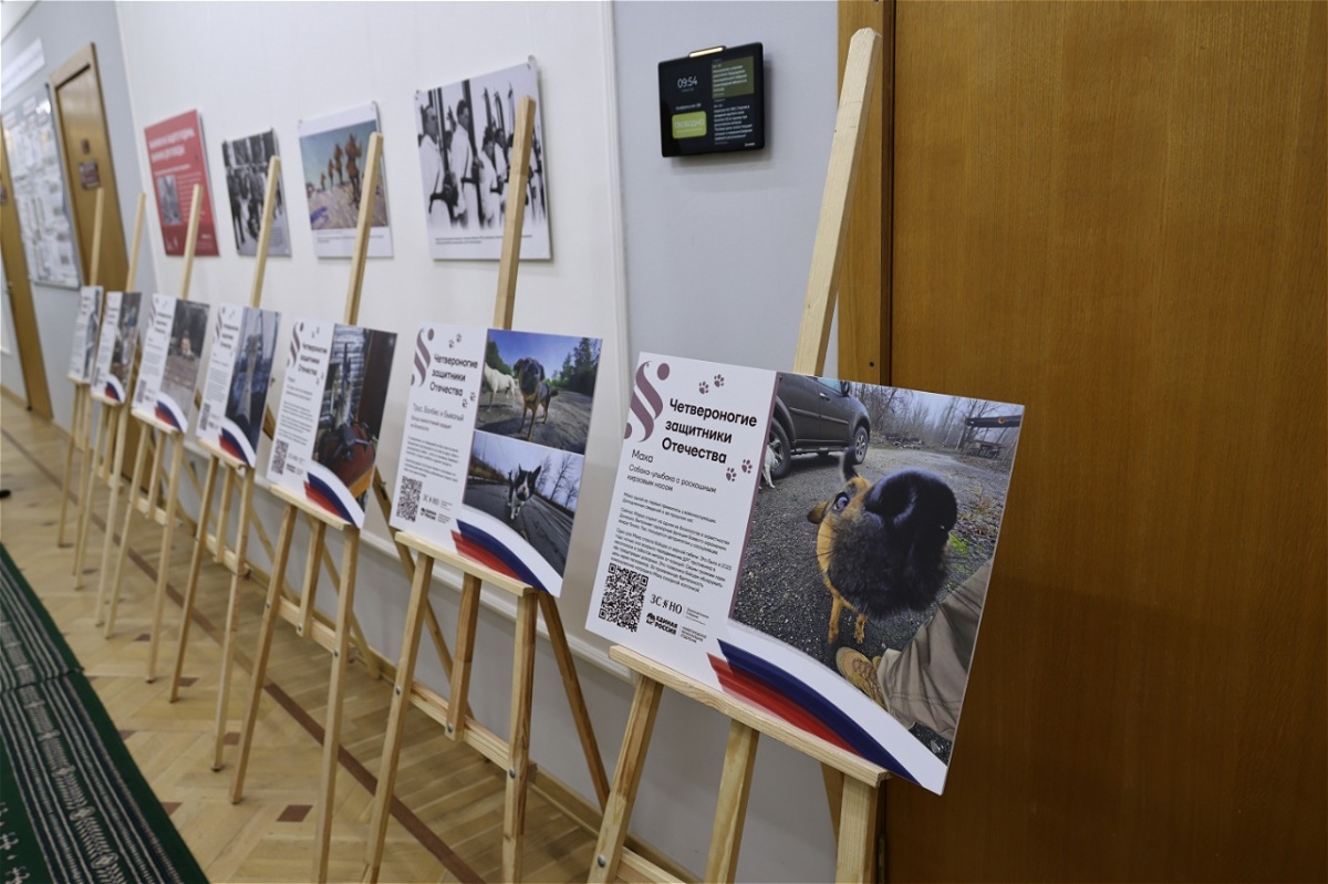 Итоги конкурса «Четвероногие защитники Отечества» подвели в Нижнем Новгороде - фото 1