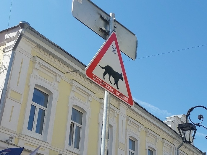 Знак &laquo;Осторожно, кошки!&raquo; появился на улице Рождественской - фото 1